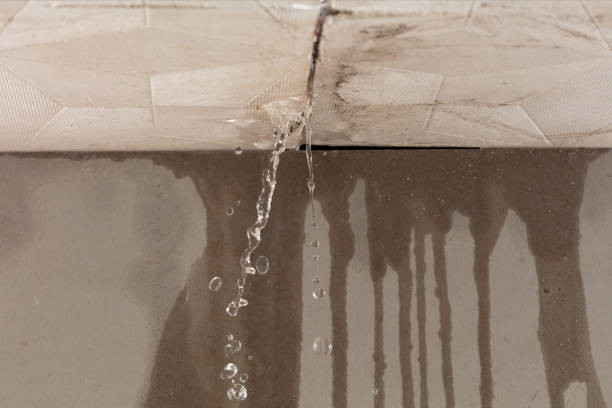 Professional Flood Damage Cleanup technician working in Ulmer, SC